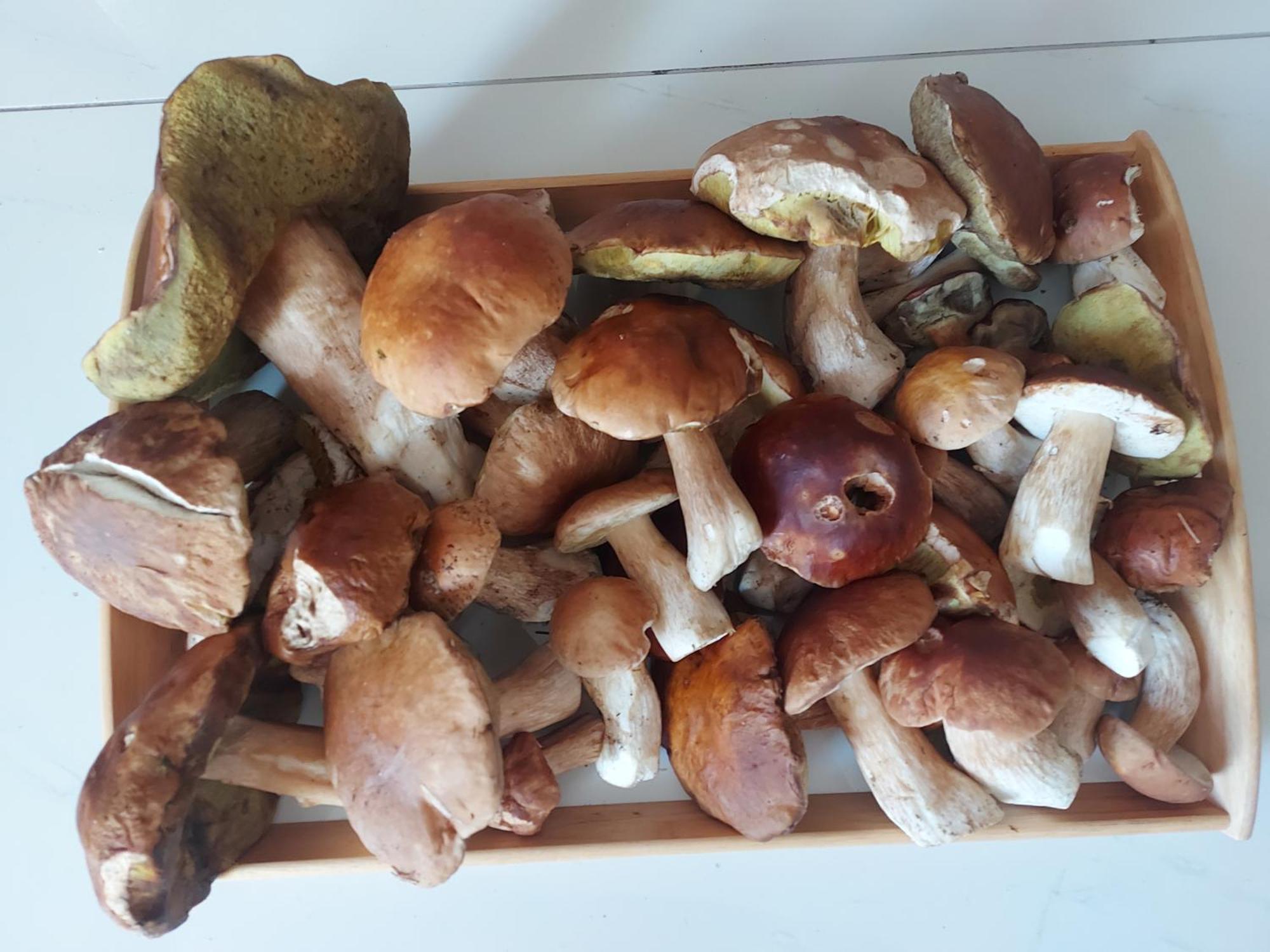 Apartman Abertamy Krusne Hory Buitenkant foto
